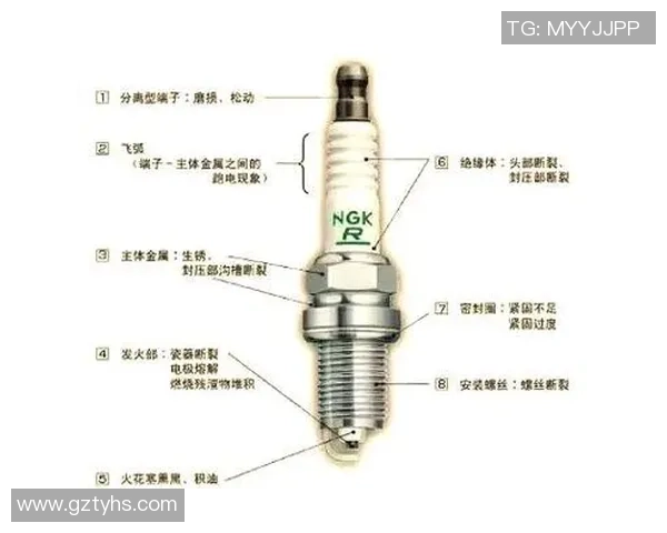 西安网球队配合策略深度解析与对比分析