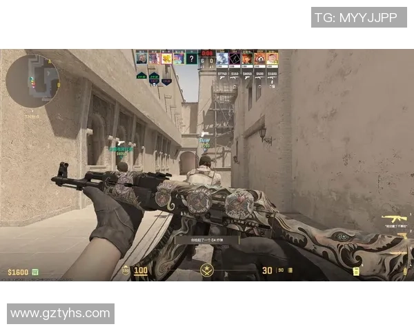 最新CS_GO个人能力TOP10：V5领跑